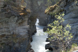 20090607095743 Kanada 1044