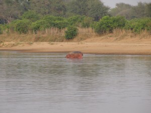 20101001062939 Sambia 1011
