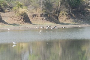 20101002083914 Sambia 3755