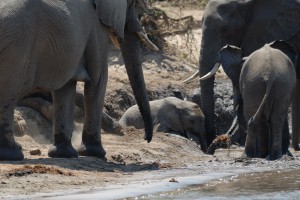 20101010103900 Sambia 4208  