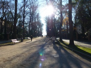 20111225115444 Italien 0084
