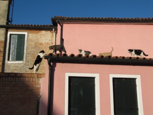 20111226095319 Italien 2488
