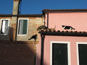 20111226095322 Italien 2489