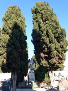 20111226140203 Italien 0175   