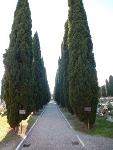 20111226140316 Italien 0177   