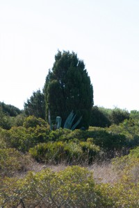 20140914101943 Italien Sardinien 8189