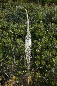 20140914102149 Italien Sardinien 8192