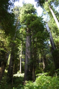 20160610113407 USA-CA 3049