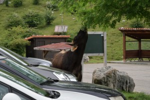 20170527121237 Spanien 5890   