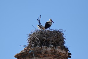 20170531184527 Spanien 6115   