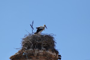 20170531184635 Spanien 6122   