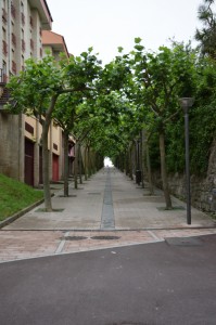 20170604084731 Spanien 6383  