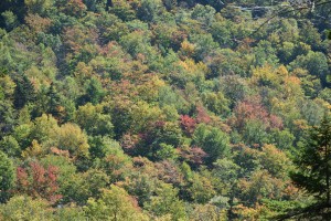 20170928104325 USA NE 7428   