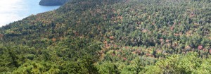 20171005100200 USA NE 6153 P  