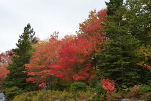 20171006145702 USA NE 7897  
