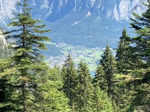 20200730143536 AT Salzkammergut 1378    