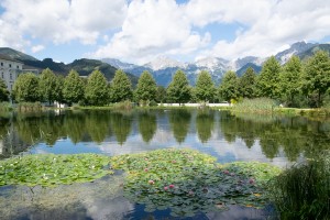 20200819130749 AT Gaal 1441     
