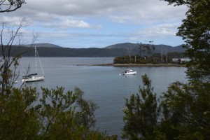 20190107155341 NZ-AU 2645  