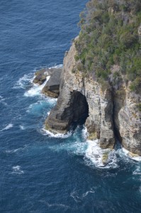 20190108101726 NZ-AU 4392   