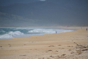 20190112093628 NZ-AU 4592   