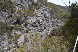 20190116143813 NZ-AU 3120   