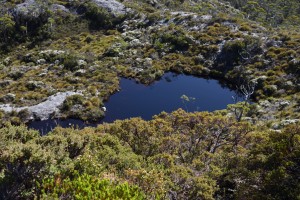 20190118094647 NZ-AU 3260      