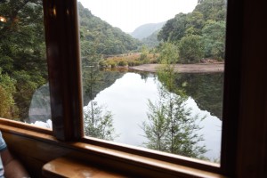 20190120093008 NZ-AU 3335    