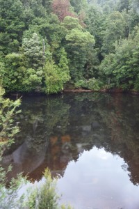 20190120094140 NZ-AU 3340    