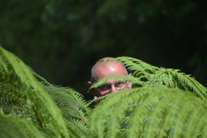 20190120104548 NZ-AU 5065    