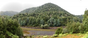 20190120105305 NZ-AU 3358 P    