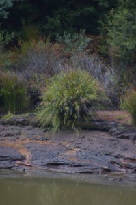 20190120105557 NZ-AU 5066    