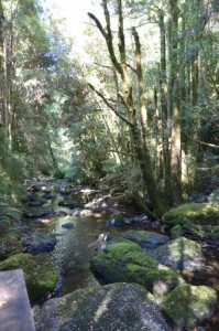 20190121101259 NZ-AU 5103   