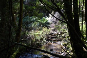 20190121101451 NZ-AU 3393   