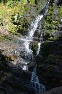 20190121102134 NZ-AU 5118   