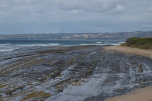 20190208111508 NZ-AU 6200   