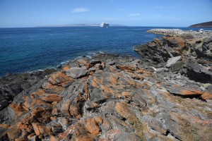 20190214163858 NZ-AU 4755 