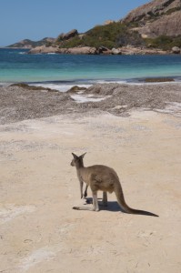 20190219150704 NZ-AU 6997   