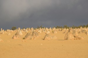 20190319074958 NZ-AU 8693     