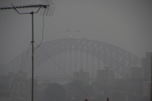 20181231190555 NZ-AU 3942   