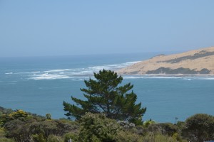 20181118123902 NZ-AU 0132 