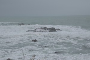 20181128114002 NZ-AU 0898  