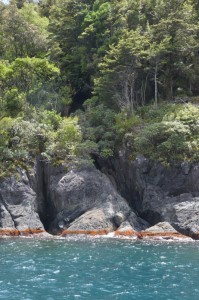 20181207123604 NZ-AU 1798 