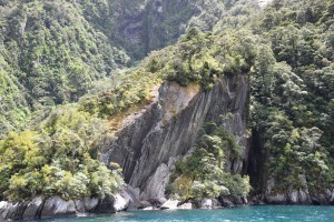 20181207123804 NZ-AU 0981 