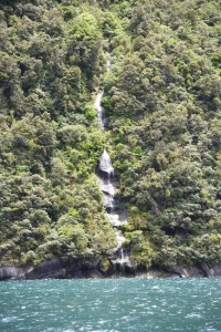 20181207123928 NZ-AU 0982 