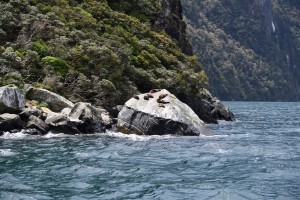 20181207124221 NZ-AU 0989 
