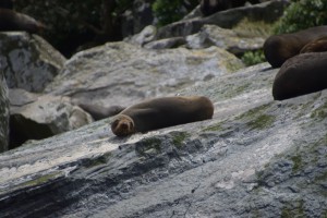 20181207124252 NZ-AU 1810 