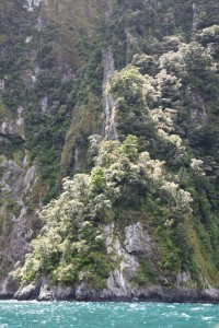 20181207125756 NZ-AU 1004 