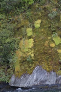 20181207125958 NZ-AU 1836 