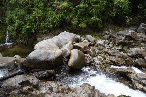 20181214103724 NZ-AU 1290   