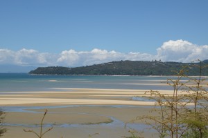 20181215125328 NZ-AU 2423   